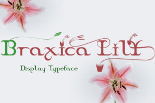 Braxica Lily: A Display Font for Editorial Elegance